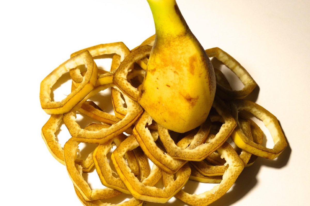 Repas pré-course : options faciles et énergisantes