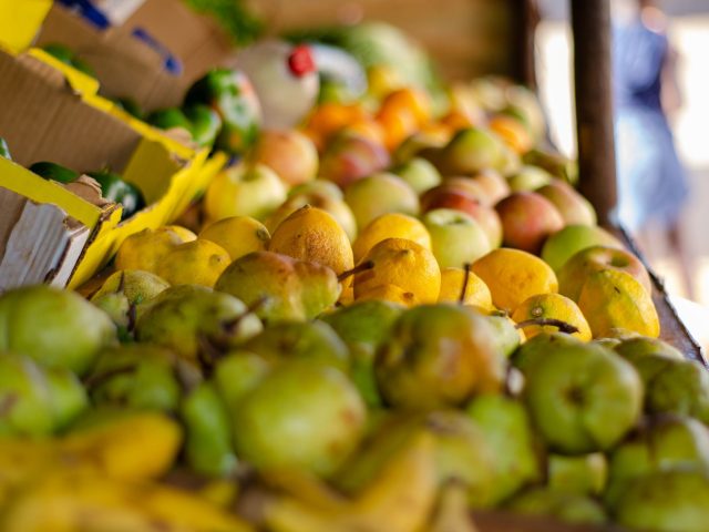 Les Aliments Clés pour Renforcer Votre Immunité Cet Hiver