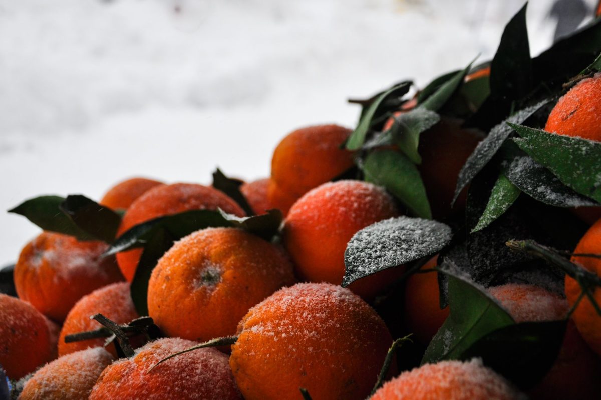 Stratégies alimentaires pour rester en forme durant l&rsquo;hiver