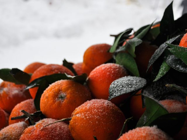 Stratégies alimentaires pour rester en forme durant l&rsquo;hiver